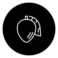 icon Superfruit – Tomoor